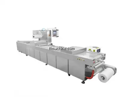 Continuous vacuum packing machine for chip packet